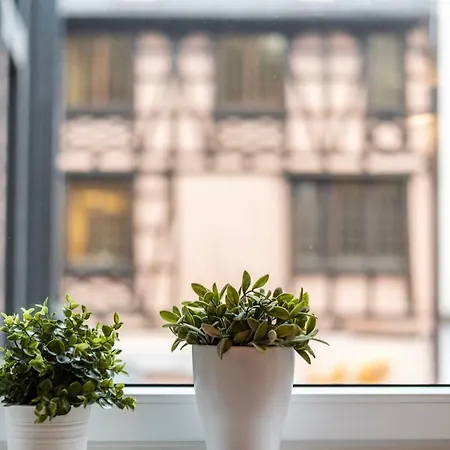 Cosy Rue Du Saumon Apartment *